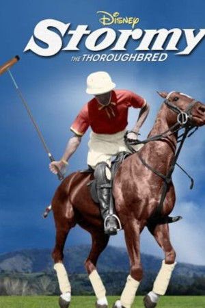 Stormy, the Thoroughbred