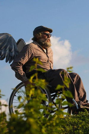 A Bicicleta do Vovô