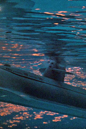 Voyage to the Bottom of the Sea