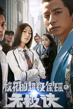 校花的超级保镖之无极诀