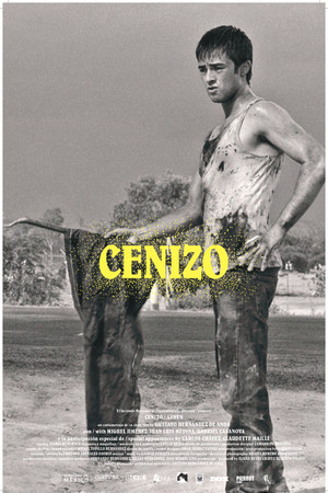 Cenizo