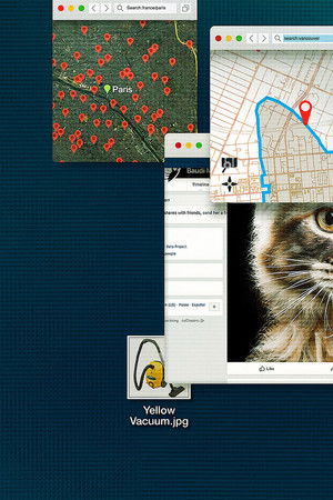 Don't F**k with Cats: Hunting an Internet Killer
