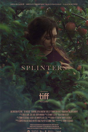 Splinters