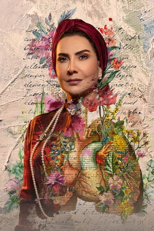 من شارع الهرم إلى ...