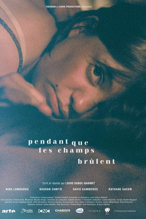 Pendant que les champs brûlent