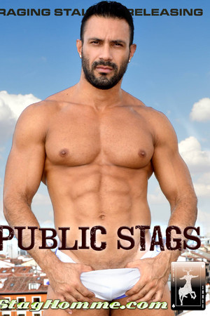 Public Stags