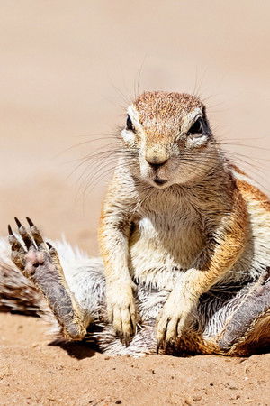 When Nature Calls with Helen Mirren