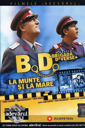 Brigada Diverse la munte și la mare