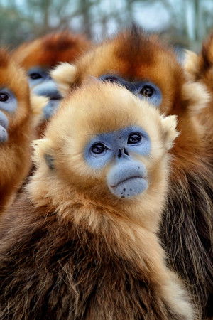 Yedi Dünya, Bir Gezegen