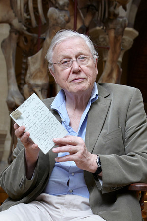 David Attenborough's Natural Curiosities