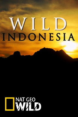 Wild Indonesia