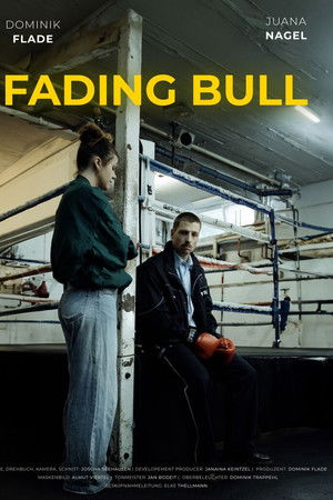 Fading Bull