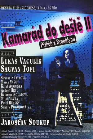 Kamarád do deště II. – Příběh z Brooklynu