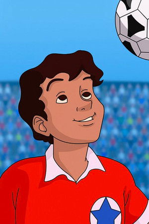 サッカーフィーバー