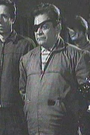 القط الأسود