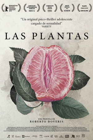 Las plantas