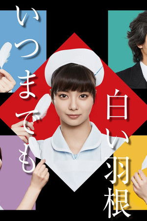 いつまでも白い羽根