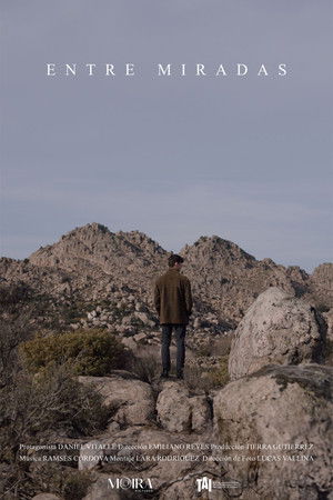 Entre miradas