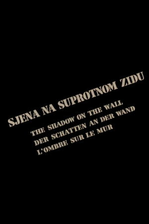 Sjena na suprotnom zidu