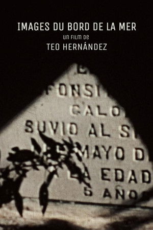 Images du bord de la mer