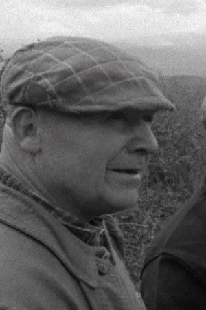 Le Chagrin et la Pitié