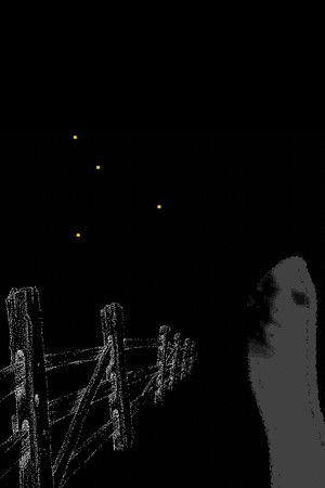 Fireflies Along the Fence