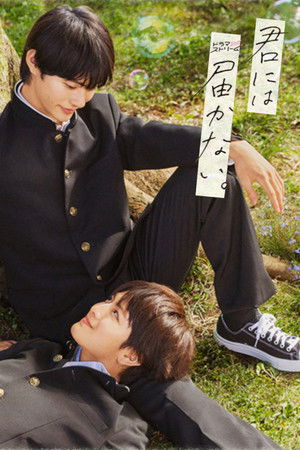 君には届かない