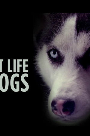 The Secret Life of Dogs