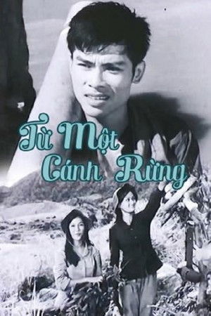 Từ Một Cánh Rừng