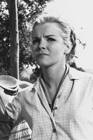 Apaçi Geçidinde 40 Tüfek