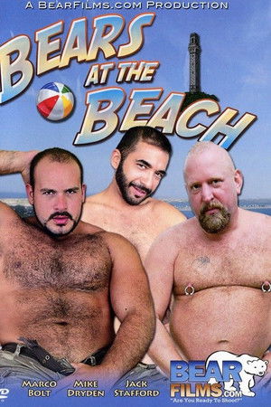 Bears at the Beach