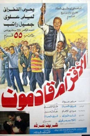 الأقزام قادمون