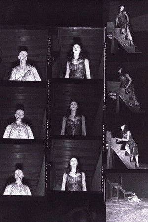 Csodálatos mandarin