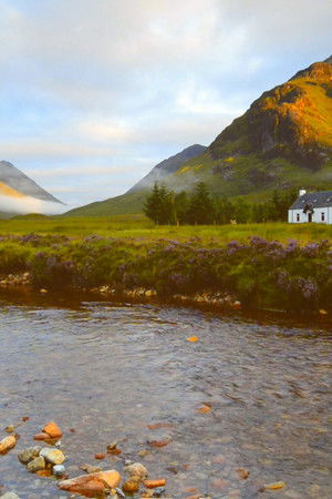 I Escaped to the Country