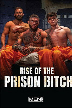 Rise of the Prison Bitch