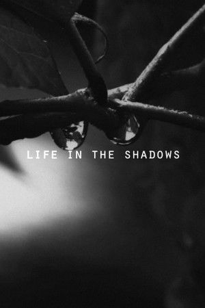 Life in the Shadows