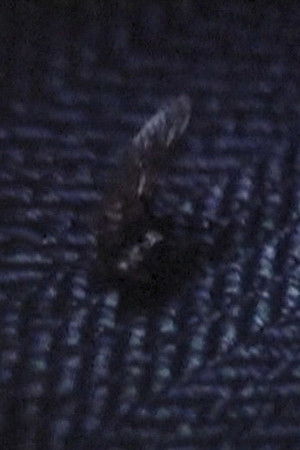 闇に光を追う -SUMMER SKETCH-