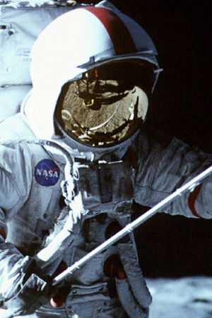 From the Earth to the Moon