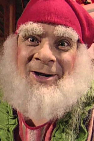 Tonttu Toljanterin joulupulma