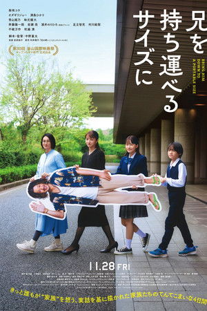 兄を持ち運べるサイズに