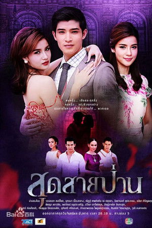 สุดสายป่าน