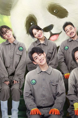 熊猫与你，滚滚而来！