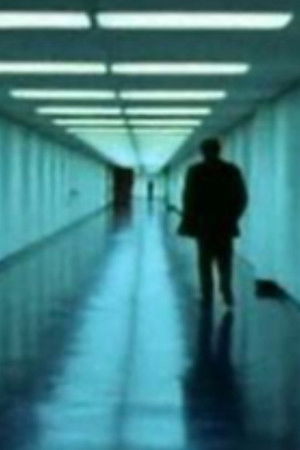 The Trap: What Happened to Our Dream of Freedom