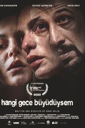 Hangi Gece Büyüdüysem