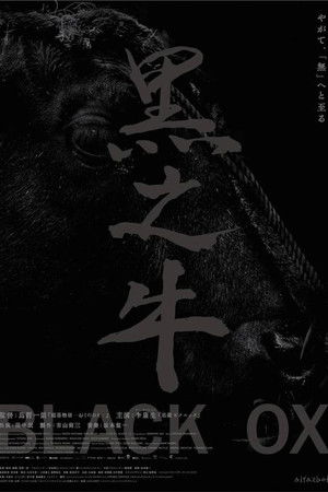 黒の牛