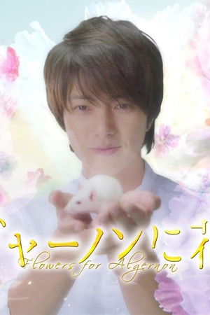 アルジャーノンに花束を