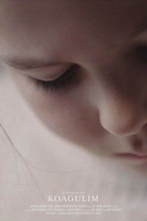 Koagulim