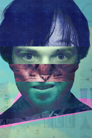 The Curious Case of...