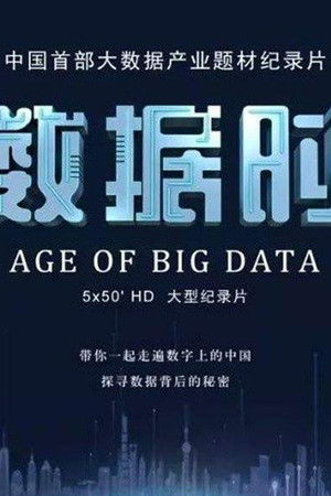大数据时代