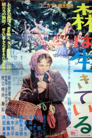 森は生きている